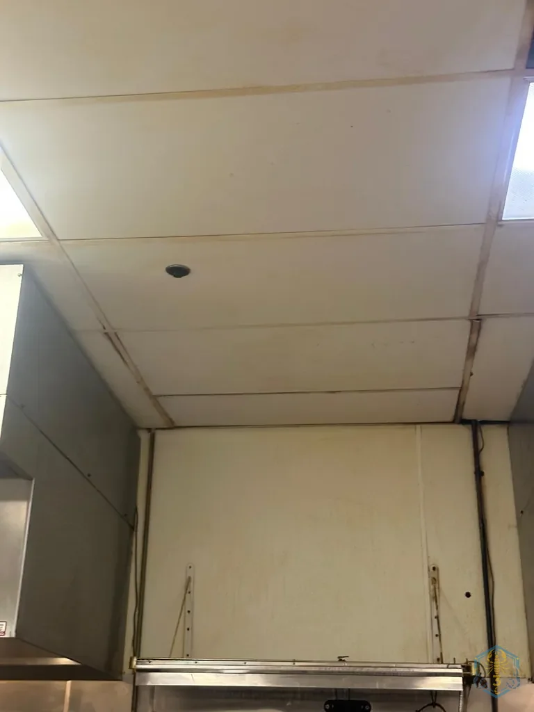Ceiling tiles and grid above a hood, stained brown along every seam by grease.