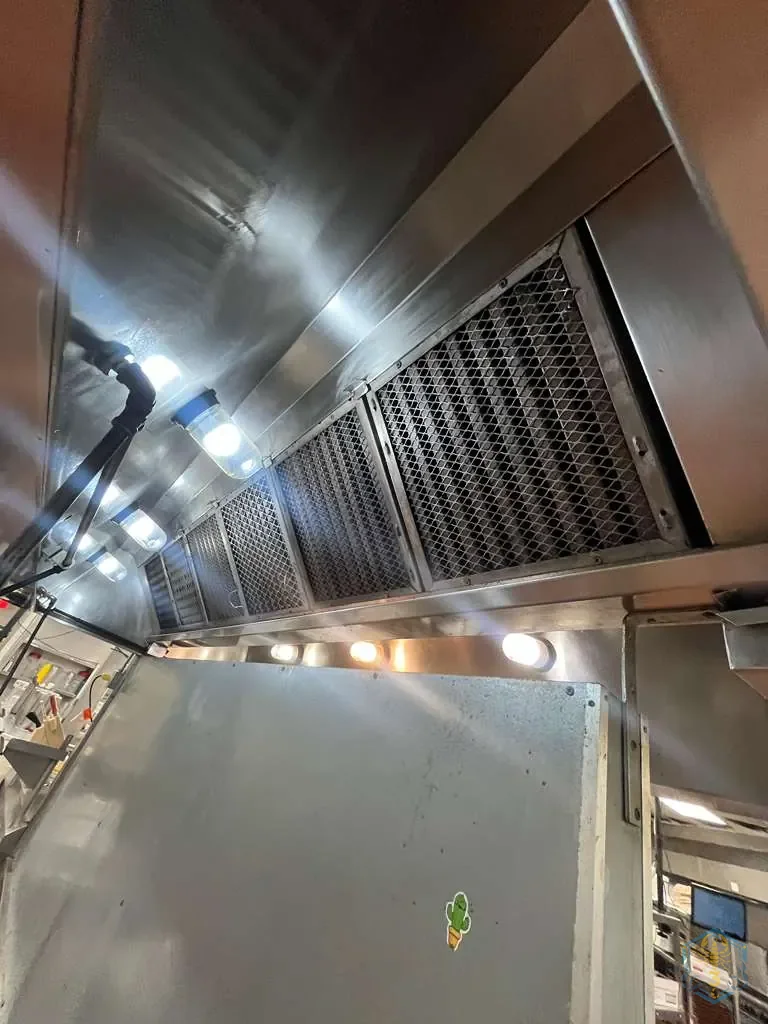 Baffle filters reinstalled in the hood, seen from below along the cook line.