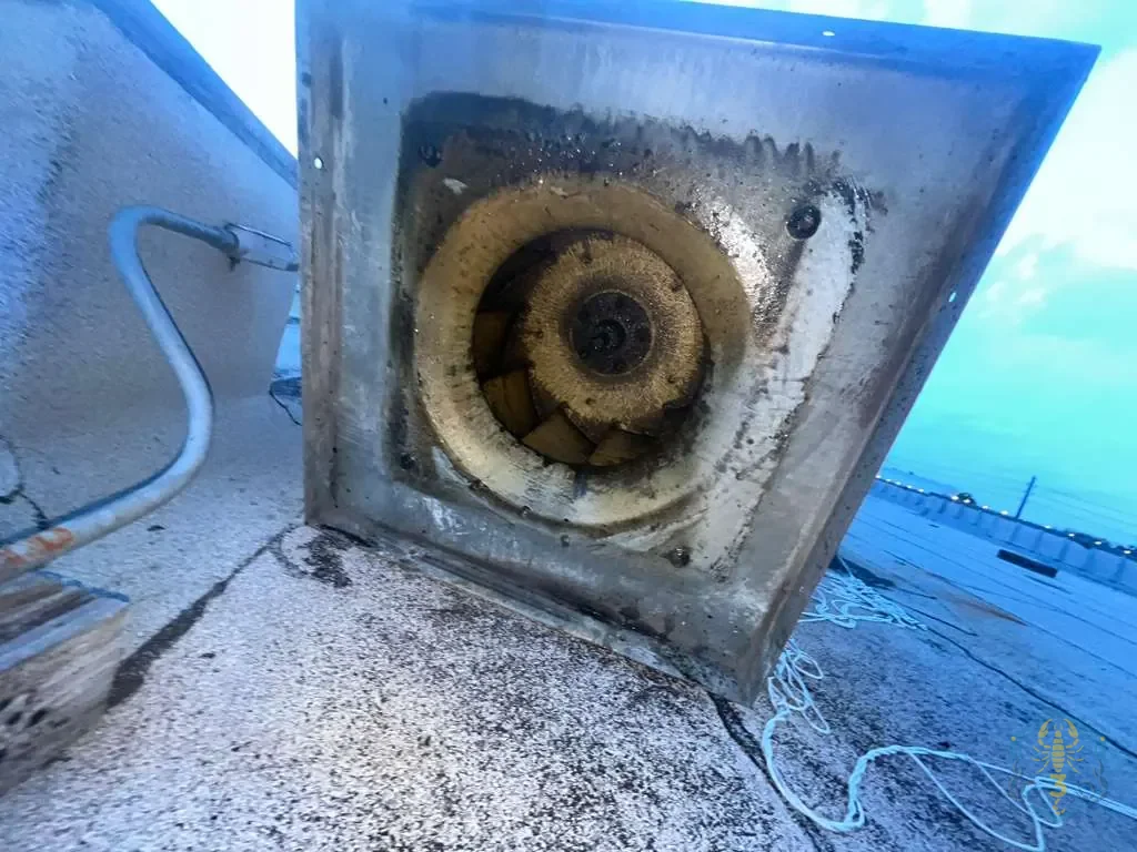 Rooftop upblast exhaust fan hinged open on its curb. The fan wheel is caked with dried grease and the roof membrane around the curb is stained black.